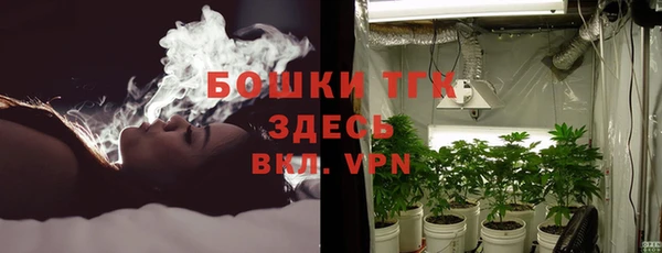 ПСИЛОЦИБИНОВЫЕ ГРИБЫ Аркадак