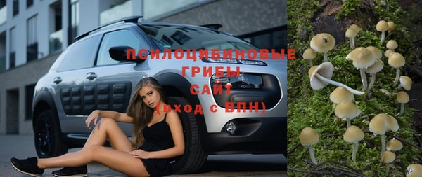 ПСИЛОЦИБИНОВЫЕ ГРИБЫ Аркадак