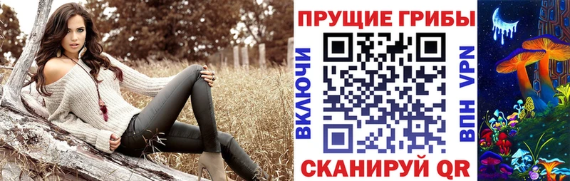 Псилоцибиновые грибы прущие грибы  что такое наркотик  Зверево 